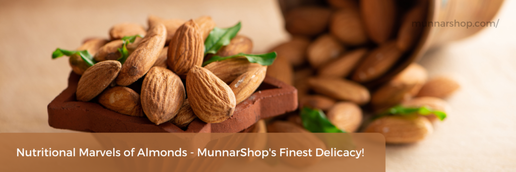 Nutritional Marvels of Almonds - MunnarShop's Finest Delicacy!
